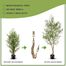 FEELEAD olive tree indoor setup for office or home workspace serenity.