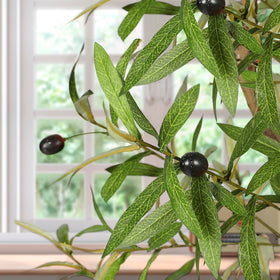 FEELEAD olive tree leaves close-up reveals natural texture and vibrant foliage.