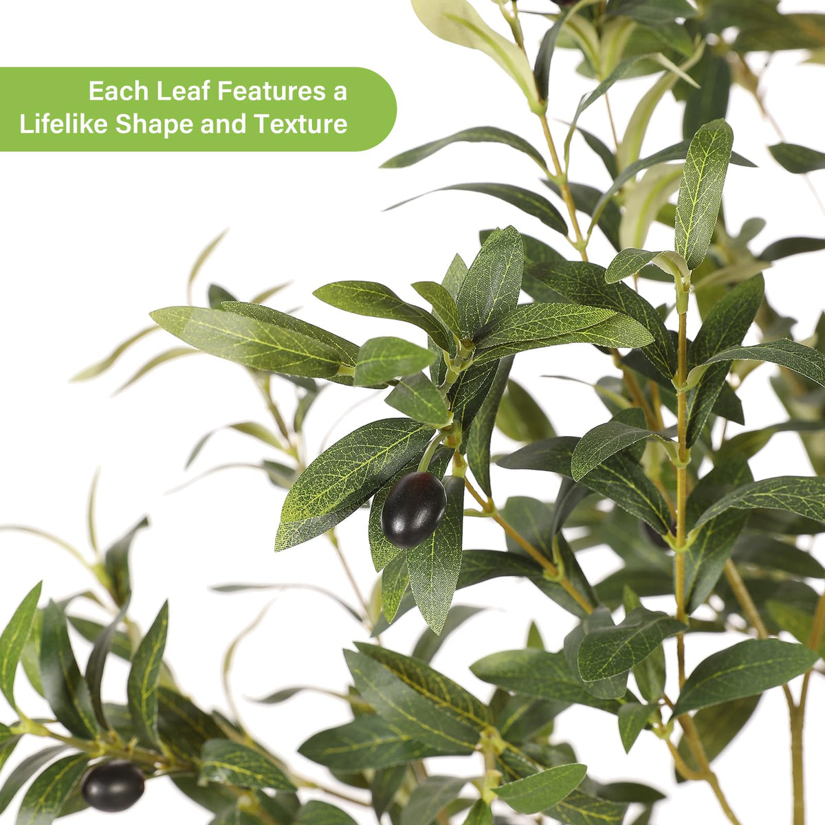 feelead olive tree lifelike leaves closeup highlights natural texture for realistic decor
