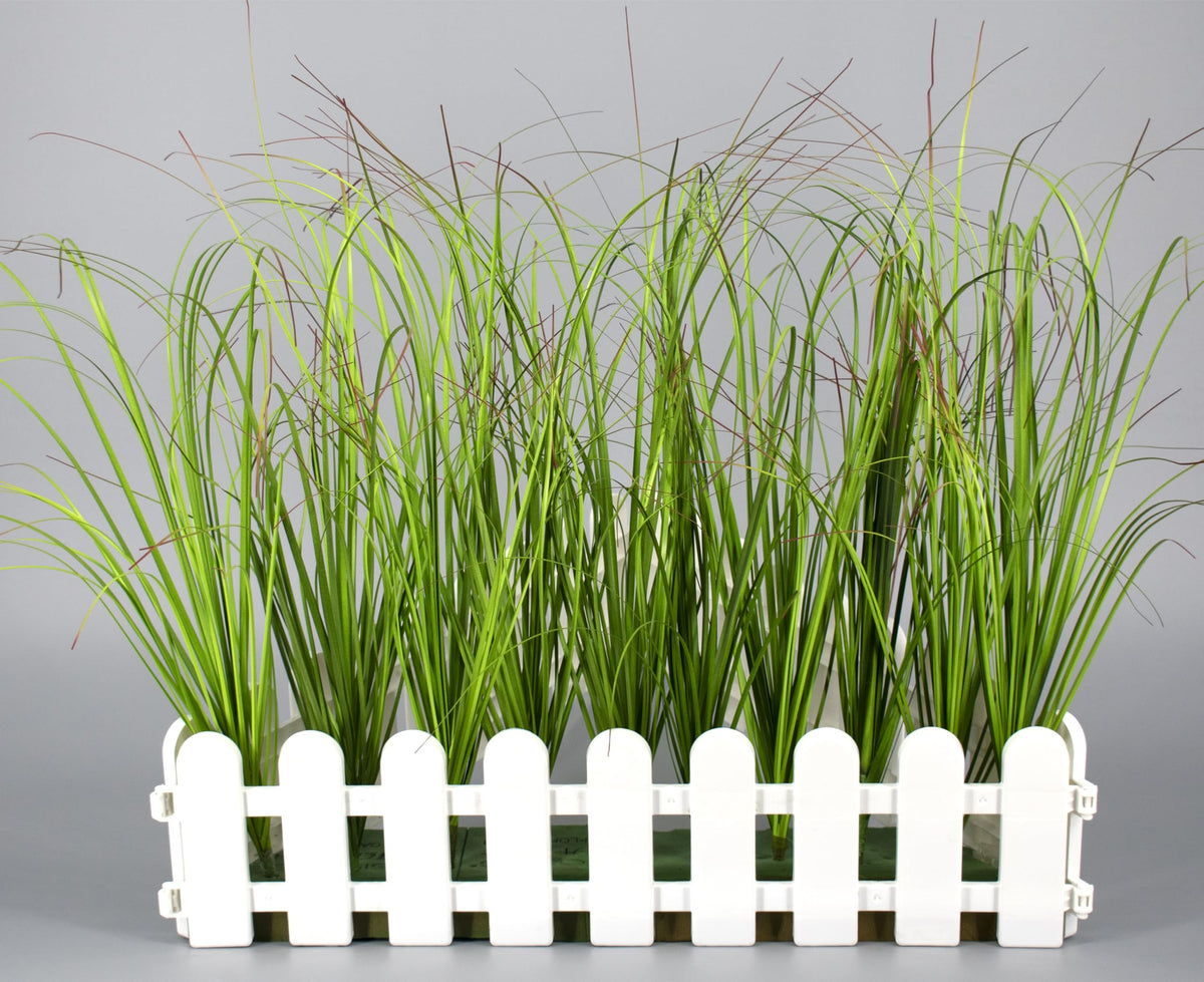 FeiLix 20-pack shrubs brighten entryways with low maintenance.