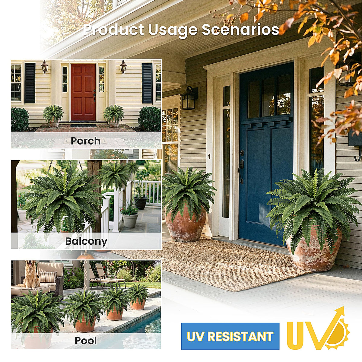 Fely bely large 17-inch leaves create dramatic depth in any room.