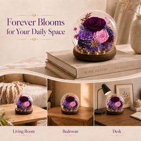 FIACO birthday gift rose in dome conveys lasting affection and style.