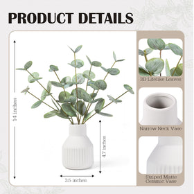 FIACO ceramic vase with white stripes complements modern decor while showcasing vibrant greens