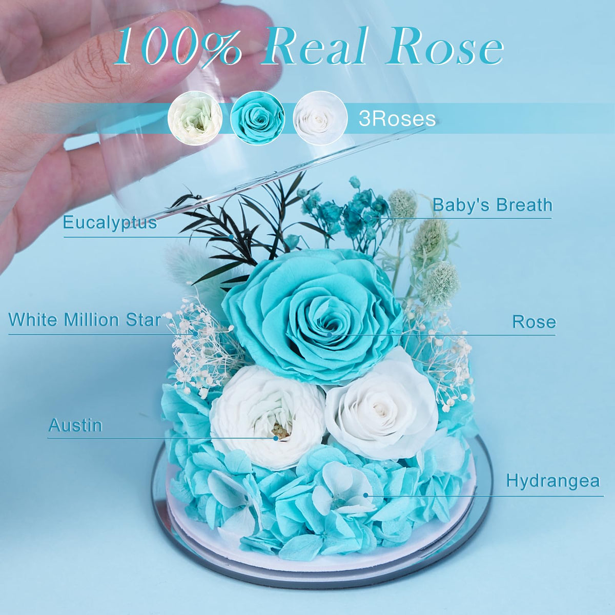 FIACO deluxe gift box presents the preserved roses elegantly