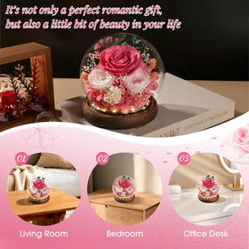 Elegant FIACO rose in dome display enhances home decor.