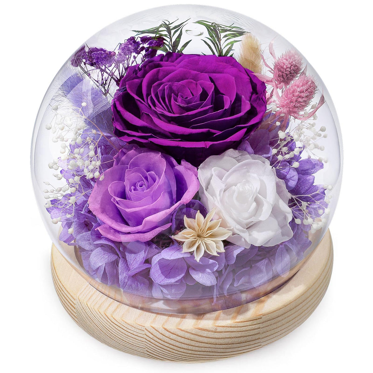 FIACO eternal rose in glass dome with LED light for elegant decor