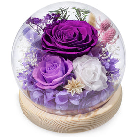 FIACO eternal rose in glass dome with LED light for elegant decor