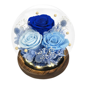 FIACO eternal rose in a glass dome on a wood base, lasting keepsake.