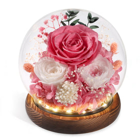 FIACO eternal rose in glass dome on wooden base for elegant gifting.