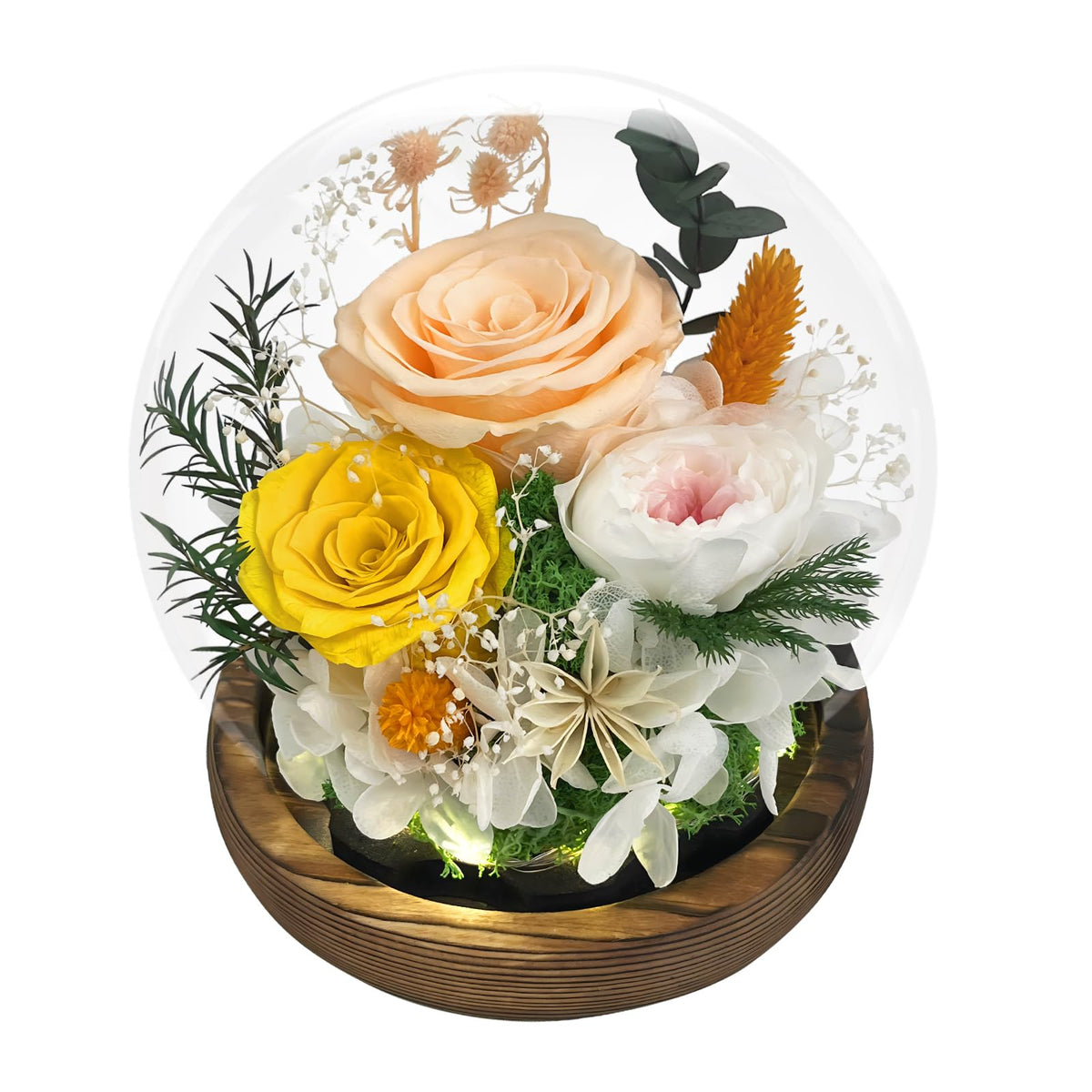 FIACO eternal rose in glass dome highlights preserved beauty for long-lasting home decor