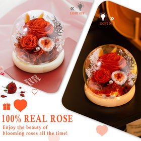 FIACO gift-ready preserved rose for her, perfect for mom or wife.