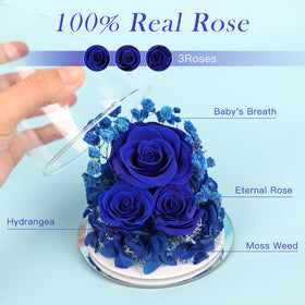 Fiaco glass dome rose ornament preserves color and elegant decor