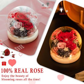 FIACO LED warm-light rose dome enhances cozy living spaces.