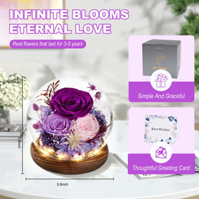 FIACO Mother's Day preserved rose under glass dome for timeless appreciation.