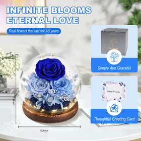 FIACO Mothers Day rose in glass dome enhances any space.