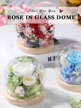 FIACO preserved rose displayed for anniversary celebration