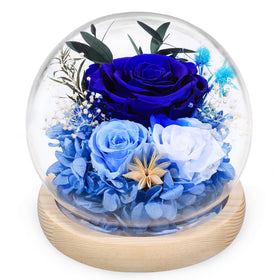 FIACO preserved rose in a birthday gift box, perfect for gifting.