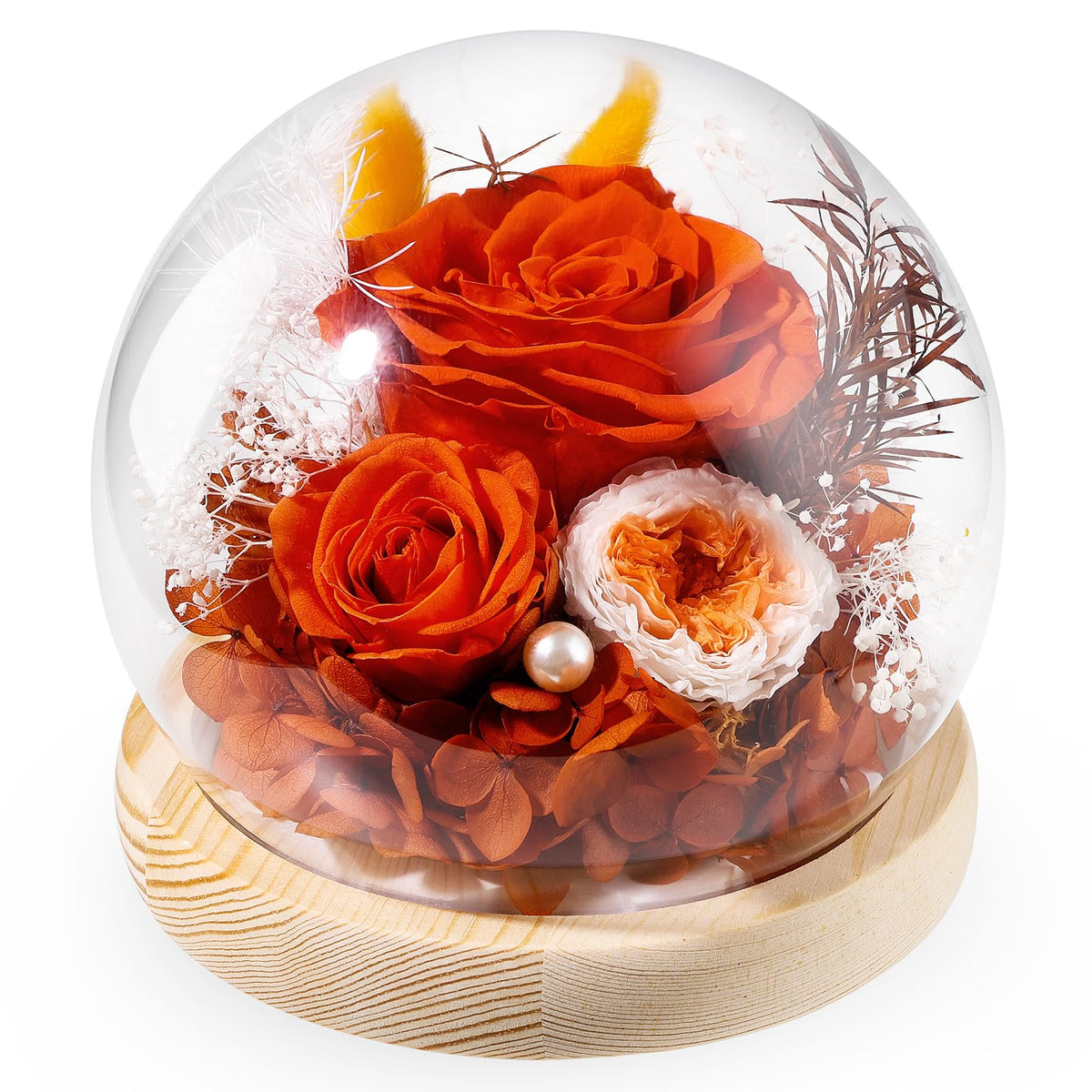 FIACO preserved rose in glass dome, ideal birthday gift lasting for years.