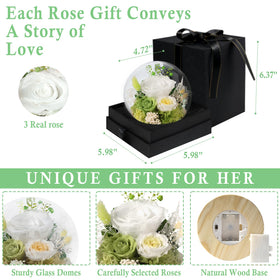 FIACO preserved rose in glass dome on a tabletop centerpiece