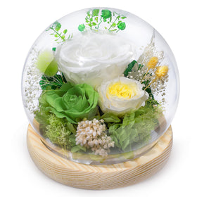 FIACO preserved rose in glass dome display enhances timeless home decor