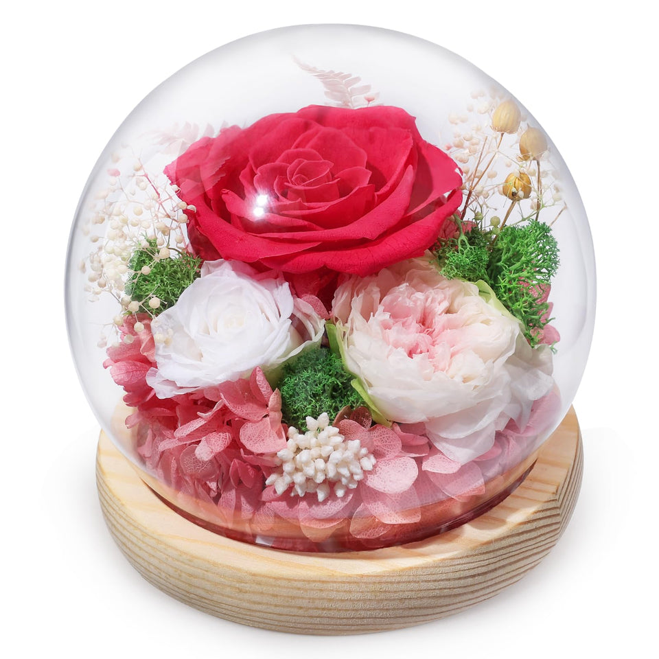 FIACO preserved rose in a glass dome delivers lasting beauty for a memorable birthday gift.