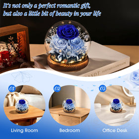 FIACO romantic gift rose dome, a timeless gesture for her.