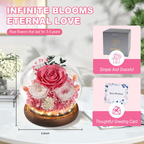 FIACO preserved rose decor for desk, shelf, or table display.