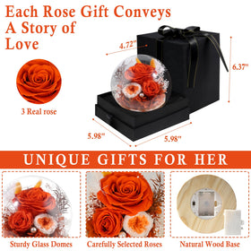 FIACO rose on wooden base display blends natural warmth with elegance.