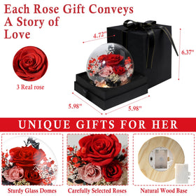 FIACO rose dome serves as elegant bedroom decor with maintenance-free beauty.