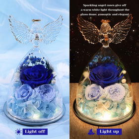 FIACO preserved rose under glass dome on display with soft illumination