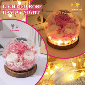 FIACO rose dome gift packaging ready for gifting occasions.