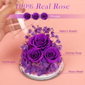 FIACO preserved rose in glass dome glows softly for romantic ambiance