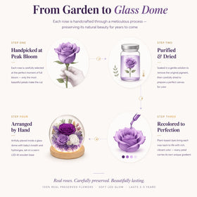 FIACO sustainable preserved flowers in dome offer pollen-free decor