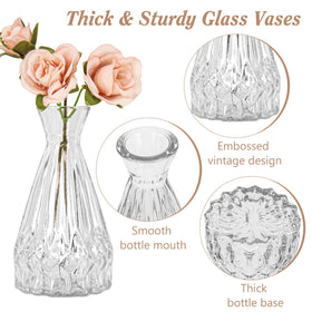 Fivenl varied-shapes bud vases showcase diverse silhouettes for versatile decor.