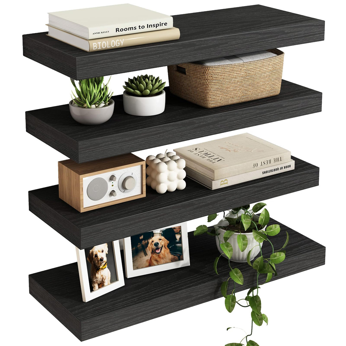 Fixwal black floating shelf with wall-mount brackets supports tidy display of decor