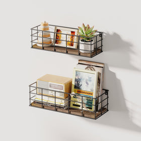Fixwal living room decor on shelves featuring plants and art.