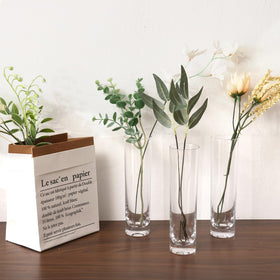 Fixwal modern minimalist glass vases with a sleek cylindrical silhouette for any room.