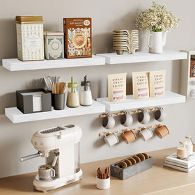 Fixwal plant and photo display shelf adds greenery and memories