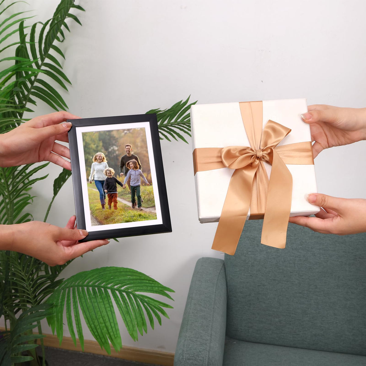 Fixwal protective packaging with removable front film for clear viewing.