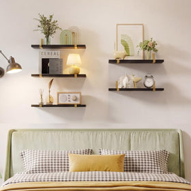 Fixwal shelves with plants adding natural warmth to any room