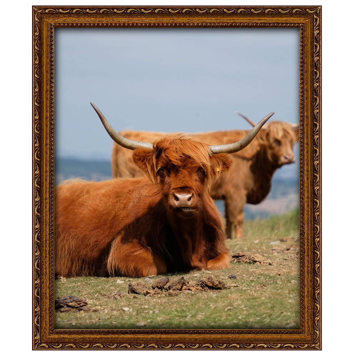 FJXMFRAME gold 16x20 frame with mat for flexible photo display.