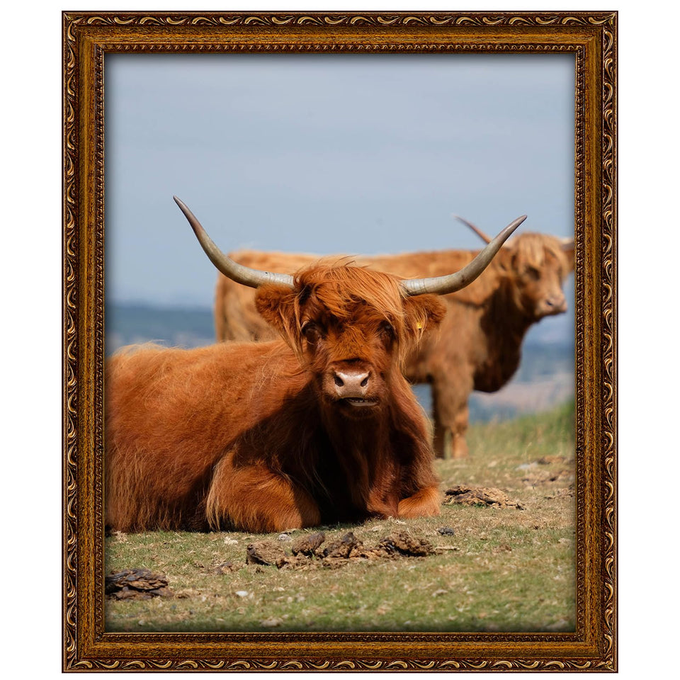 FJXMFRAME gold 16x20 frame with mat for flexible photo display.