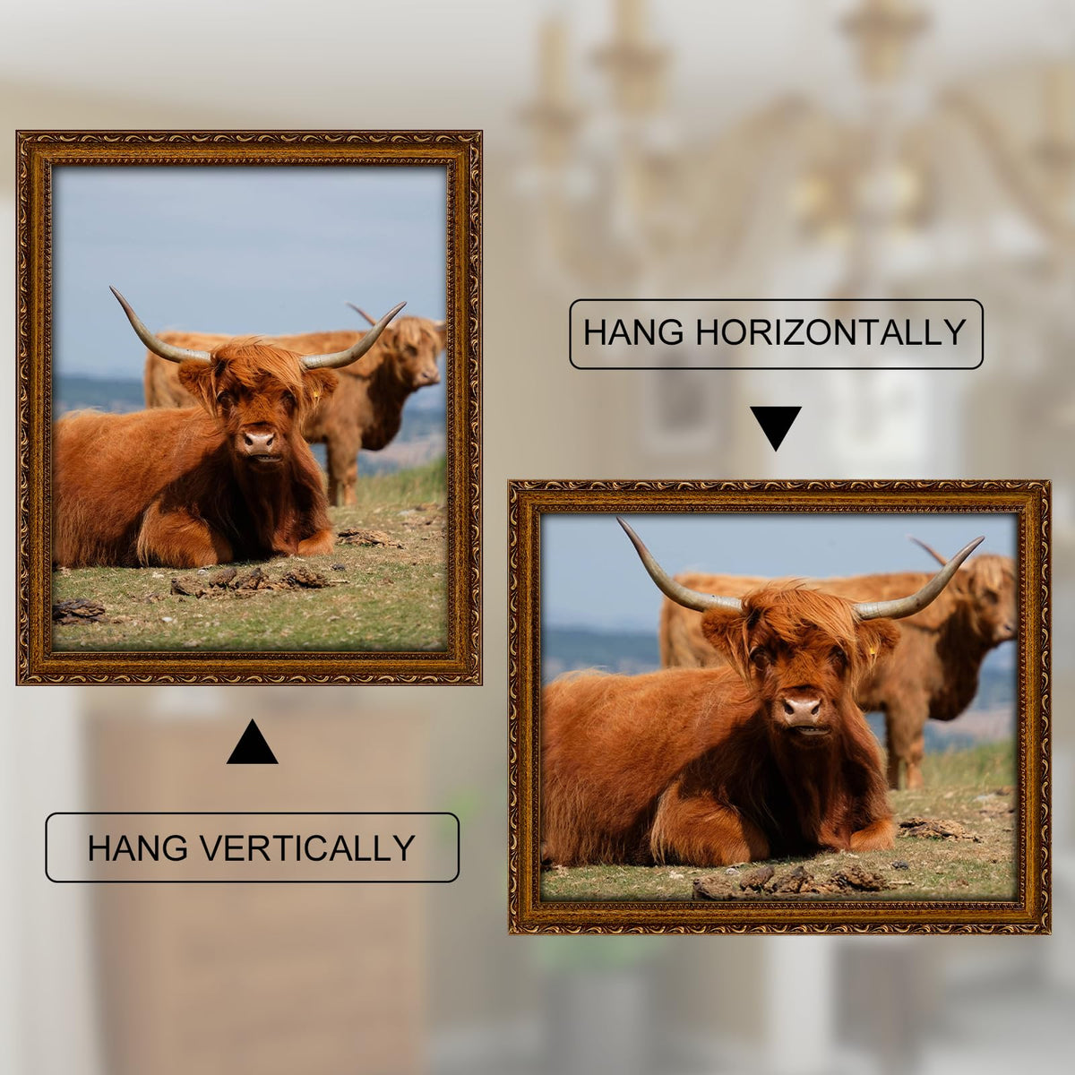 FJXMFRAME gold wall-hanging frame for easy gallery-style display.