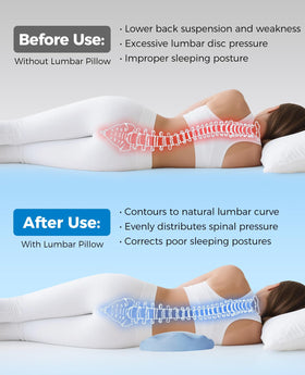 Fledano Lumbar Pillow back-sleepers-support aids lower-back alignment during rest.
