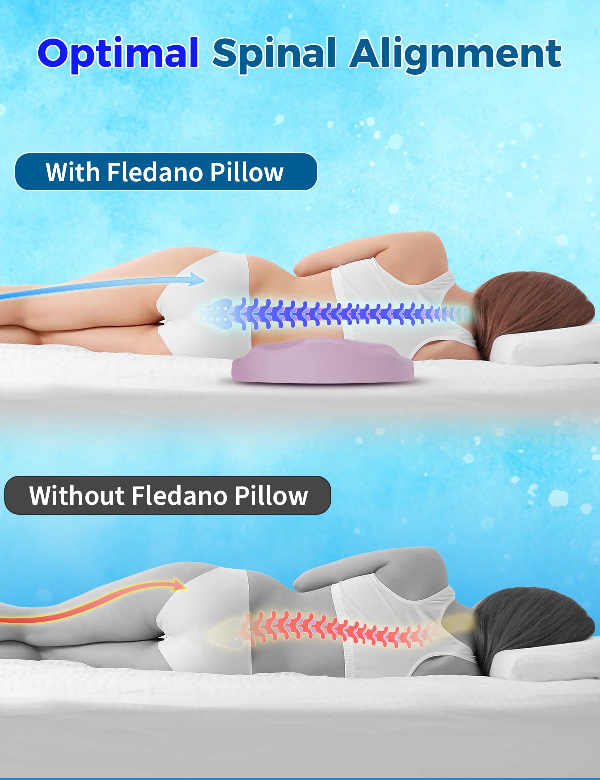 Fledano spine alignment focus illustrating lumbar curve support.
