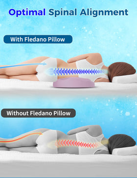 Fledano spine alignment focus illustrating lumbar curve support.