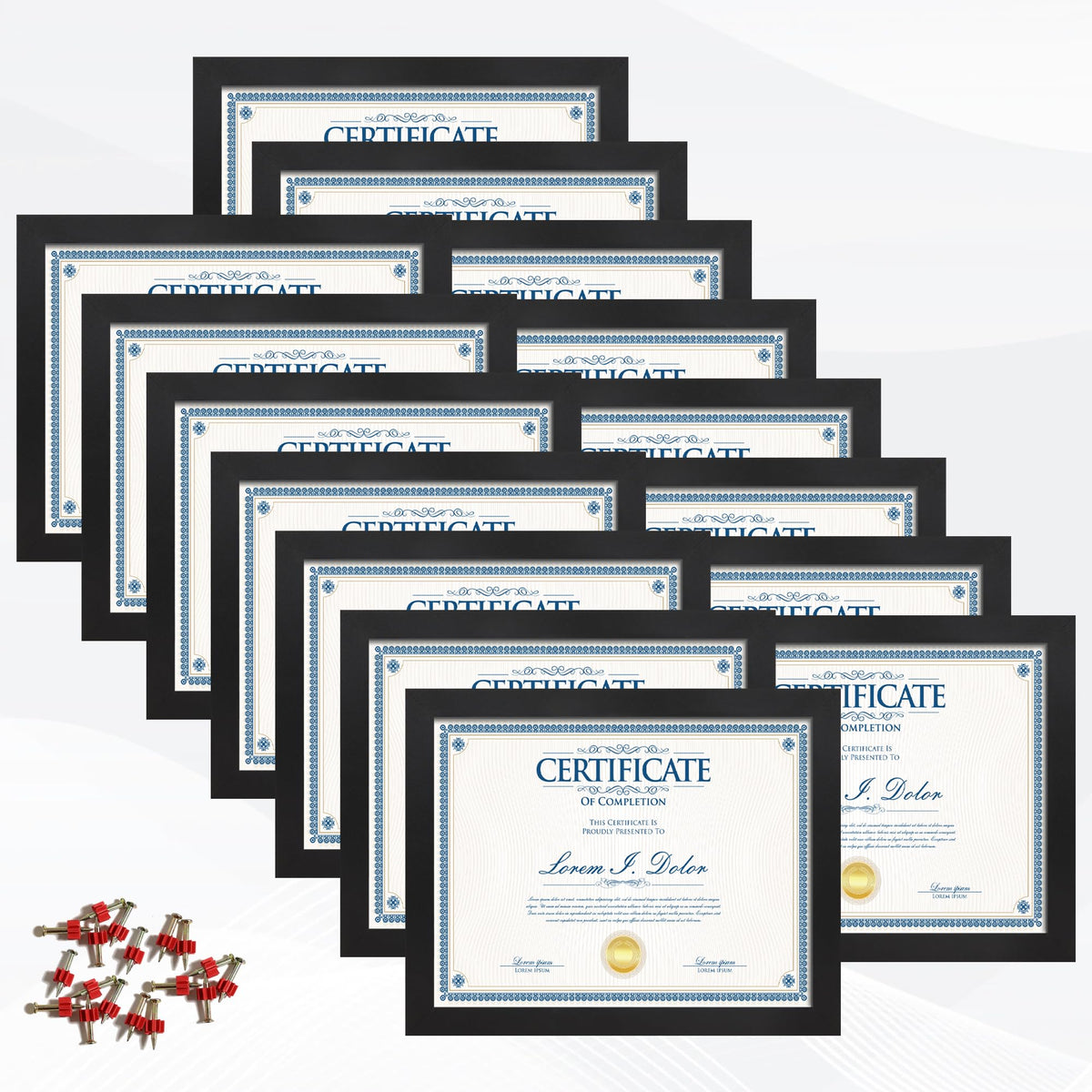 Flocey 8.5x11 frame set front view highlights a clean, uniform display for certificates.