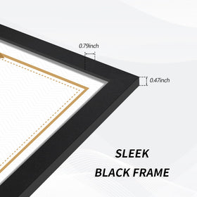 Flocey 8.5x11 frame set ideal for diplomas and certificates display.
