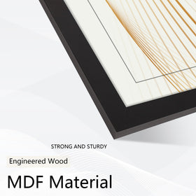 Flocey 8.5x11 frames ideal for office or graduation decor and layouts.