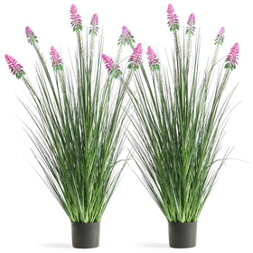 FloraFairy 4ft horsetail reed grass in pot for indoor decor